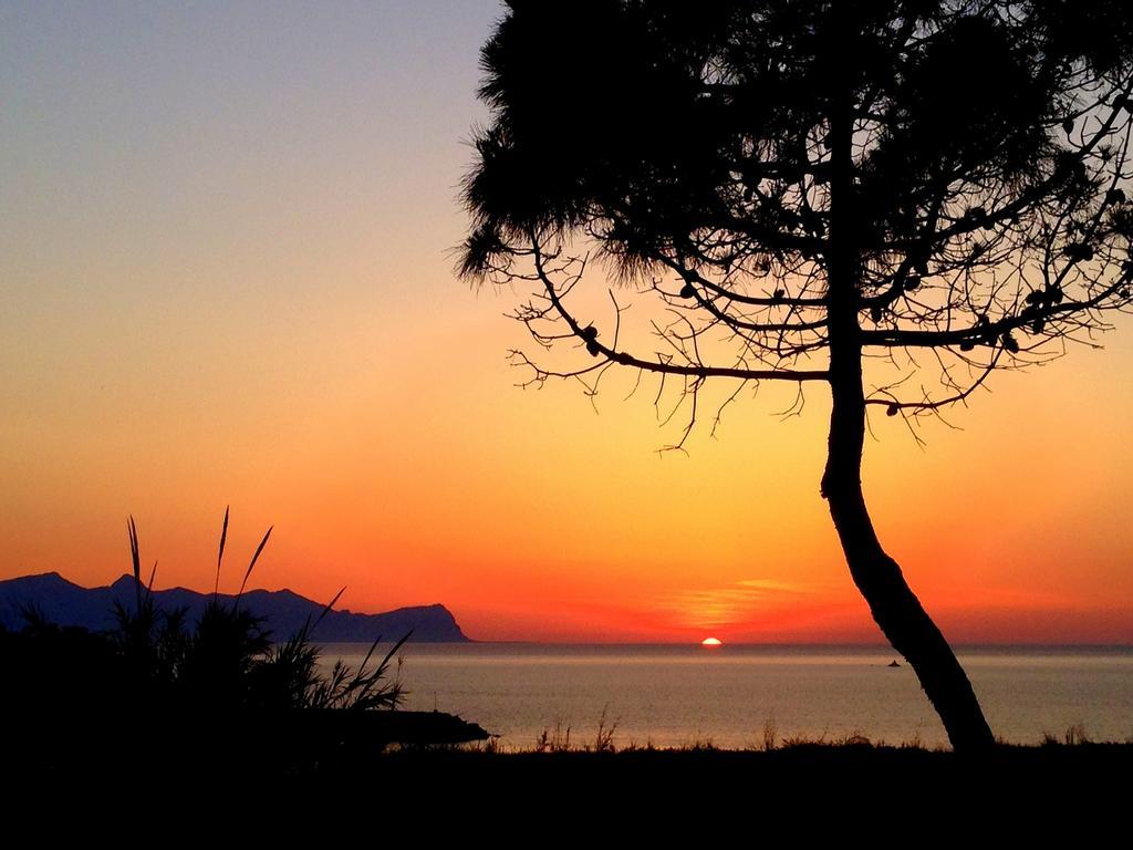 Magnolia Gialla Bed & Breakfast Trappeto  Dış mekan fotoğraf