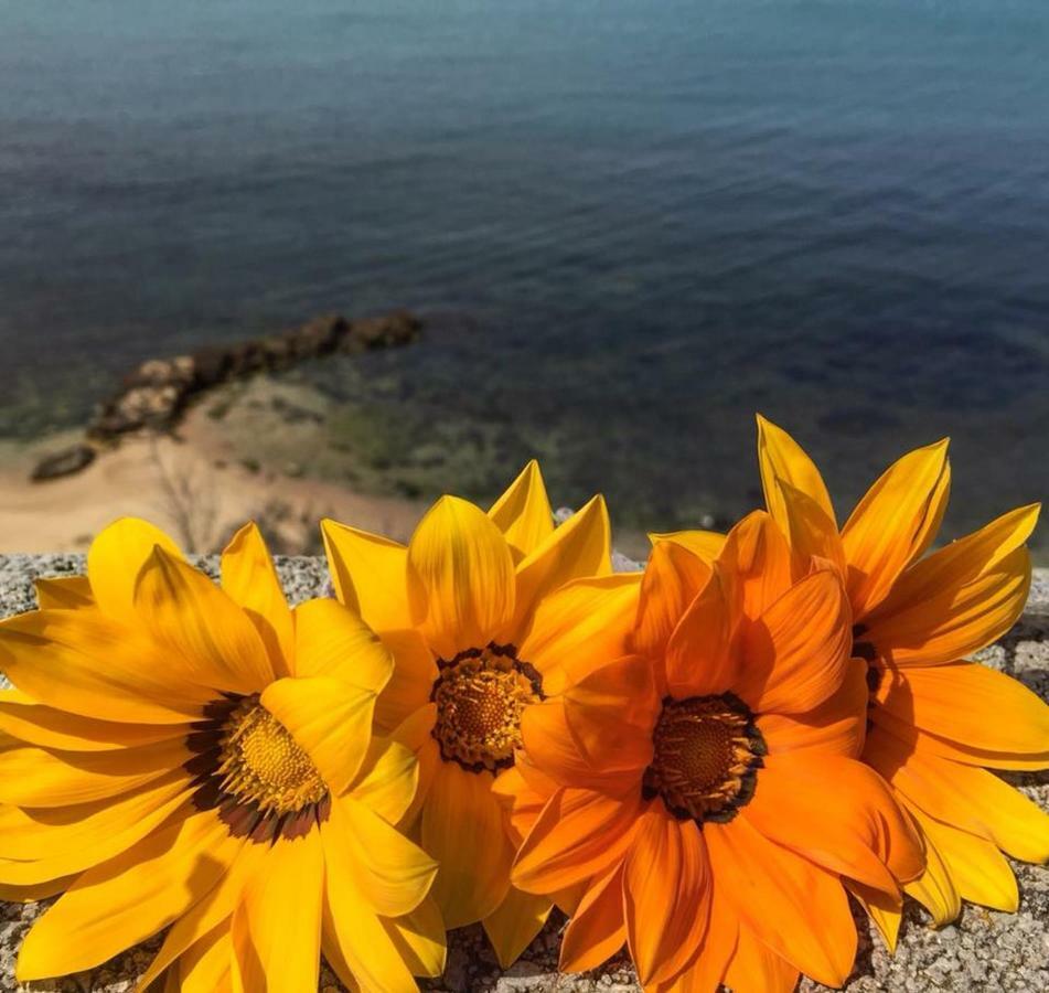 Magnolia Gialla Bed & Breakfast Trappeto  Dış mekan fotoğraf